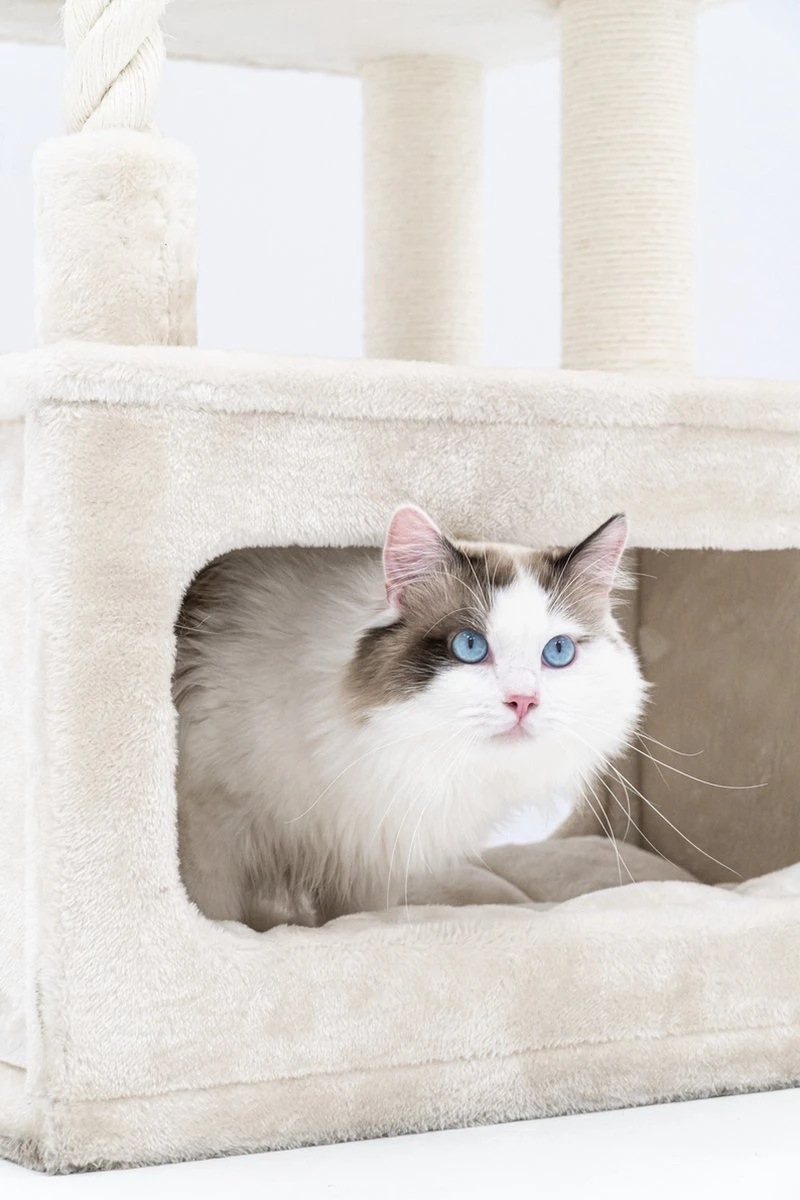 Petrebels Lodge 107 Krabpaal - Creme - Design - Zeer Stabiel 11 Petrebels Lodge 107 Krabpaal - Creme - Design - Zeer Stabiel - Image 10