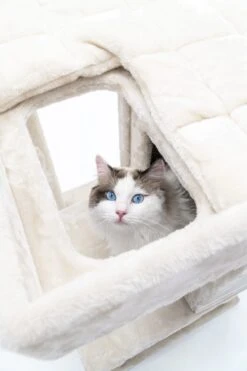 Petrebels Lodge 107 Krabpaal - Creme - Design - Zeer Stabiel 22 Petrebels Lodge 107 Krabpaal - Creme - Design - Zeer Stabiel -Huisdierbenodigdheden Korting 800x1200 61