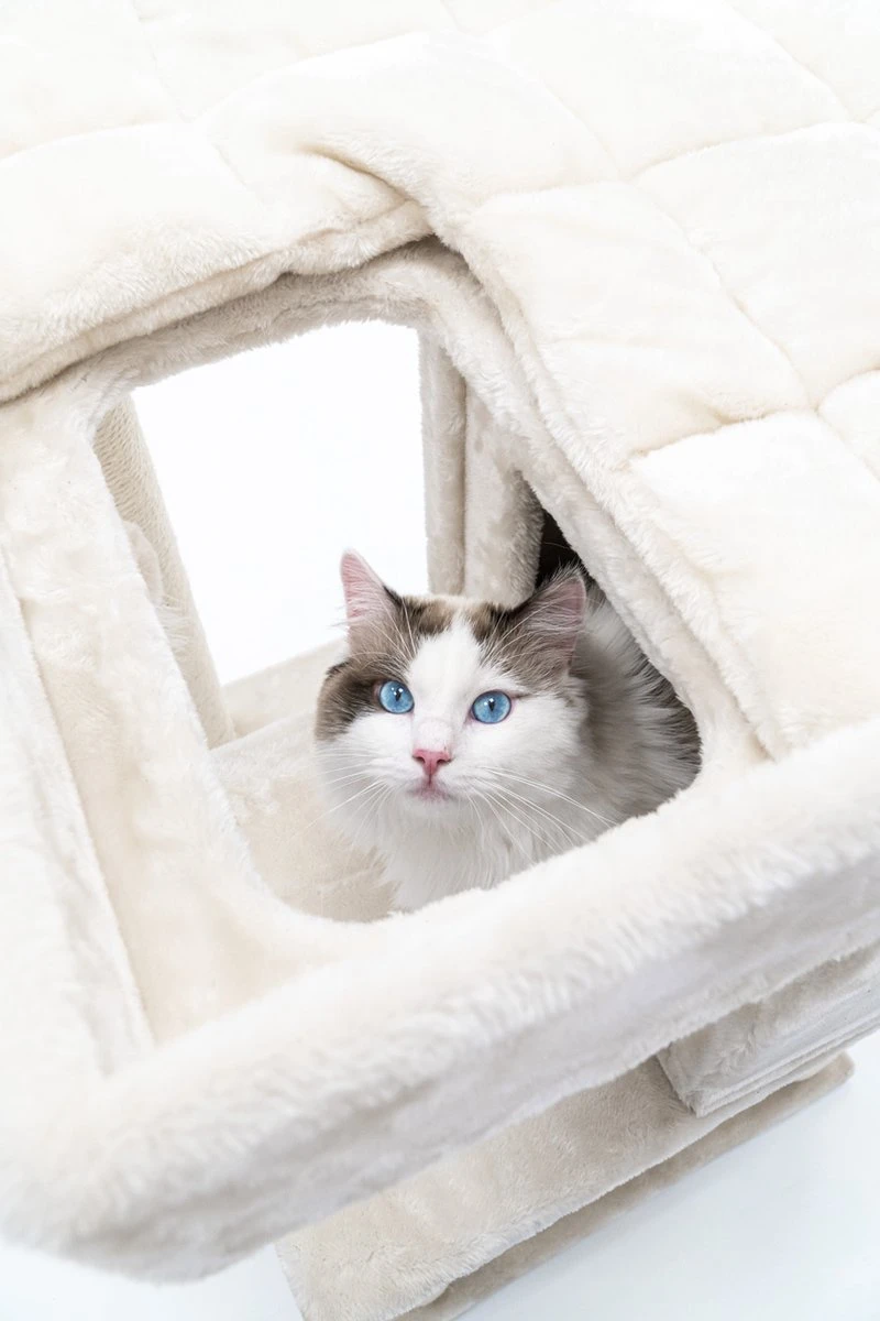 Petrebels Lodge 107 Krabpaal - Creme - Design - Zeer Stabiel 12 Petrebels Lodge 107 Krabpaal - Creme - Design - Zeer Stabiel - Image 11