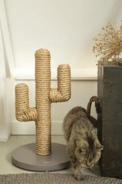 Designed By Lotte Houten Cactus - Krabpaal - Taupe - 35 X 35 X 60 Cm -Huisdierbenodigdheden Korting 800x1200 66