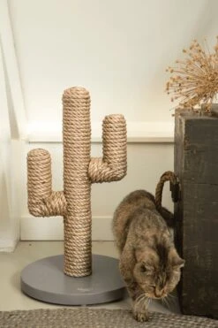 Designed By Lotte Houten Cactus - Krabpaal - Taupe - 35 X 35 X 60 Cm -Huisdierbenodigdheden Korting 800x1200 69