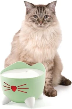 Catit Pixi Fountain - Kattendrinkbak - 20x20x16 Cm Groen -Huisdierbenodigdheden Korting 800x1200 71