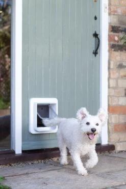 Sureflap Dierenluik Microchip S - Kattenluik - 20x20x7 Cm Wit -Huisdierbenodigdheden Korting 800x1200 73