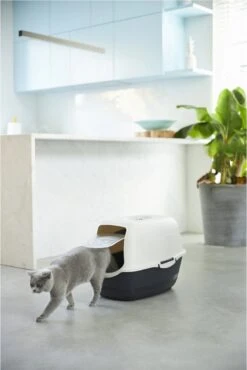 Rotho Bailey - Kattenbak - Zwart/Zand -Huisdierbenodigdheden Korting 801x1200 8