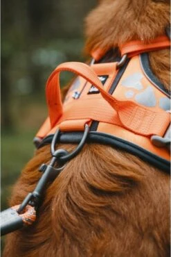 Hurtta Weekend Warrior Harness Zwart Maat - 60-80 -Huisdierbenodigdheden Korting 802x1200 4