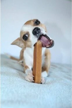 Coucour - Yak Kaas - Hondensnacks - Himalayan Cheese Bone - Medium 70Gram -Huisdierbenodigdheden Korting 804x1200