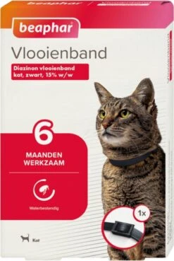 Beaphar Vlooienband Kat - Vlooienbestrijding - Zwart 15 Beaphar Vlooienband Kat - Vlooienbestrijding - Zwart -Huisdierbenodigdheden Korting 804x1200 5