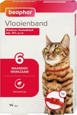 Beaphar Vlooienband Kat - Rood - 1 Stuk -Huisdierbenodigdheden Korting 804x1200 6