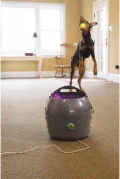 PetSafe Automatische Ballenwerper - Dierenspeelgoed -Huisdierbenodigdheden Korting 806x1200 1