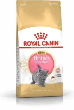 Royal Canin British Shorthair Kitten - 2 Kg -Huisdierbenodigdheden Korting 809x1200 7