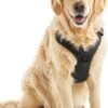 Hondentuigje - Anti-Trek Tuig - Hondenharnas - Y Tuig Hond - Reflecterend - Zwart - Maat XL 1 Hondentuigje - Anti-Trek Tuig - Hondenharnas - Y Tuig Hond - Reflecterend - Zwart - Maat XL -Huisdierbenodigdheden Korting 811x1200 2