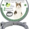 Teken- En Vlooienband Voor Katten PLUS - Natuurlijk Middel Tegen Vlooien En Teken - 100% Natuurlijk - 38,5 CM - Tot 8 Maand Werkzaam - Biologisch 2 Teken- En Vlooienband Voor Katten PLUS - Natuurlijk Middel Tegen Vlooien En Teken - 100% Natuurlijk - 38,5 CM - Tot 8 Maand Werkzaam - Biologisch -Huisdierbenodigdheden Korting 819x1200 6
