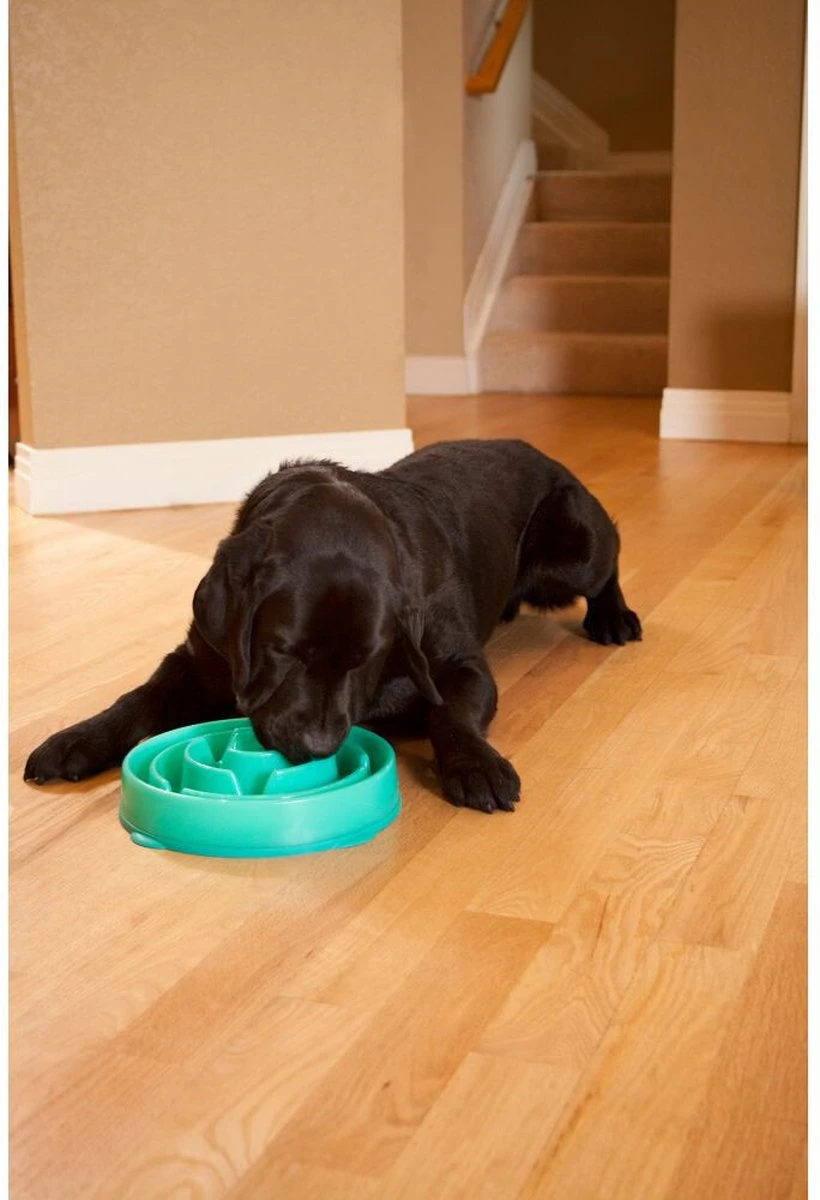 Anti Schrok Voerbak - Lichtblauw - Ø 28 Cm 10 Anti Schrok Voerbak - Lichtblauw - Ø 28 Cm - Image 8