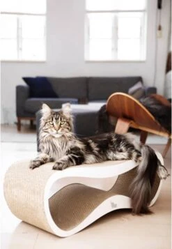 MyKotty LUI - Krabpaal - Wit - 75 X 25 Cm 14 MyKotty LUI - Krabpaal - Wit - 75 X 25 Cm -Huisdierbenodigdheden Korting 830x1200 6