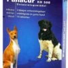 Panacur Ontworming - Middelgroot En Grote Hond - 10 Tabletten 1 Panacur Ontworming - Middelgroot En Grote Hond - 10 Tabletten -Huisdierbenodigdheden Korting 832x1200