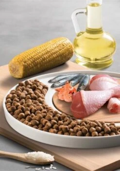 Micho Adult Cat - Premium Kattenvoer - 15 Kg -Huisdierbenodigdheden Korting 842x1200 5