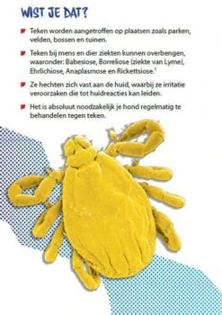 Prac-tic Grote Hond 22 Tot 50 Kg - 1 St à 3 Pipetten -Huisdierbenodigdheden Korting 848x1200 1