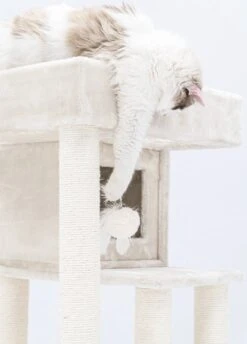 Petrebels Lodge 107 Krabpaal - Creme - Design - Zeer Stabiel 19 Petrebels Lodge 107 Krabpaal - Creme - Design - Zeer Stabiel -Huisdierbenodigdheden Korting 861x1200 5