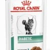 Royal Canin Diabetic Kat Natvoer 12x85 G -Huisdierbenodigdheden Korting 861x1200 7