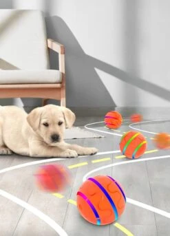 Good Experience Interactieve Hondenbal 3.0 – Honden Speelgoed Intelligentie – Puppy Speelgoed – Hondenspeeltjes – De Enige Die Werkt Met Afstandsbediening – De Veilige Bal Voor Jouw Hond – One Size – Oranje -Huisdierbenodigdheden Korting 863x1200 4