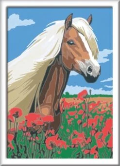 Ravensburger Schilder Op Nummer 3in1 Set Dieren 8 Ravensburger Schilder Op Nummer 3in1 Set Dieren -Huisdierbenodigdheden Korting 868x1200 5