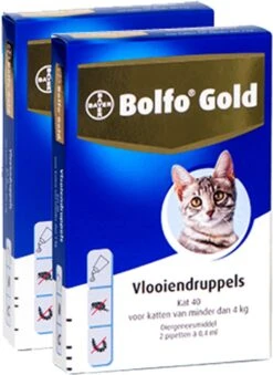 Bayer Bolfo Gold 40 Anti Vlooienmiddel - Kat - 0 Tot 4 Kg - 4 Pipetten -Huisdierbenodigdheden Korting 875x1200 2