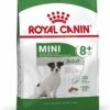 Royal Canin Mini Adult 8+ - Hondenvoer - 800 G 1 Royal Canin Mini Adult 8+ - Hondenvoer - 800 G -Huisdierbenodigdheden Korting 877x1200