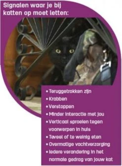 Feliway Classic - Navulling - 48 Ml - Anti-stress Kat -Huisdierbenodigdheden Korting 881x1200 12