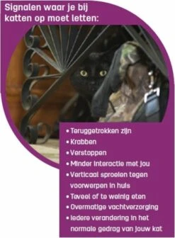 Feliway Classic - Startset - 1 Verdamper + 1 Vulling 48ml - Anti-stress Voor Kat -Huisdierbenodigdheden Korting 881x1200 13