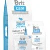 Brit Care Grain Free Junior Large Breed Salmon & Potato 12 Kg - Hond 2 Brit Care Grain Free Junior Large Breed Salmon & Potato 12 Kg - Hond -Huisdierbenodigdheden Korting 891x1200 1