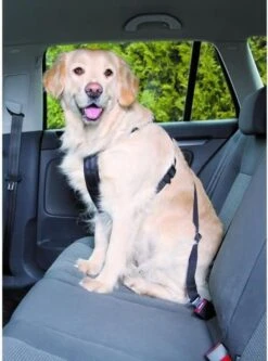 Trixie Auto-Tuig Zwart Maat - M -Huisdierbenodigdheden Korting 891x1200