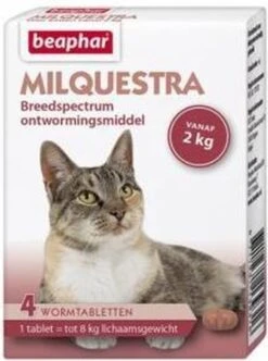 Beaphar Milquestra Kleine Kat/kitten - 0,5 Tot 4 Kg - 2 Tabletten 19 Beaphar Milquestra Kleine Kat/kitten - 0,5 Tot 4 Kg - 2 Tabletten -Huisdierbenodigdheden Korting 893x1200 5