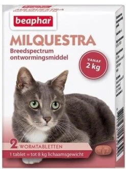 Beaphar Milquestra Kleine Kat/kitten - 0,5 Tot 4 Kg - 2 Tabletten 18 Beaphar Milquestra Kleine Kat/kitten - 0,5 Tot 4 Kg - 2 Tabletten -Huisdierbenodigdheden Korting 894x1200 5