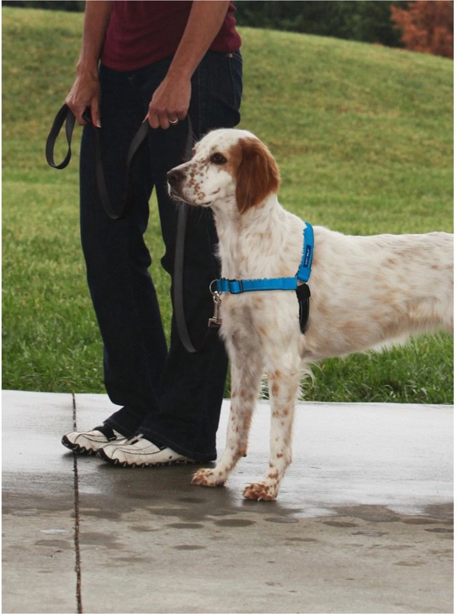Petsafe Easy Walk® Deluxe Harness - Hondentuigje - Blauw - M - 1,8 M 5 Petsafe Easy Walk® Deluxe Harness - Hondentuigje - Blauw - M - 1,8 M - Image 3