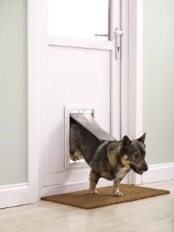 Petsafe 660 Hondenluik - Tot 100 Kg - Aluminium -Huisdierbenodigdheden Korting 900x1200 17