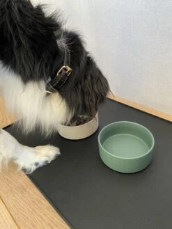 BoDutch - Placemat Voor Voerbak - Voermat Hond Kat - Zwart - Siliconen - 60x40cm 15 BoDutch - Placemat Voor Voerbak - Voermat Hond Kat - Zwart - Siliconen - 60x40cm -Huisdierbenodigdheden Korting 900x1200 28