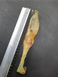 Konijn Oor Konijnoren 1kg Van De Snackmeester 100% Natuurlijk Natural Naturel -Huisdierbenodigdheden Korting 900x1200 33