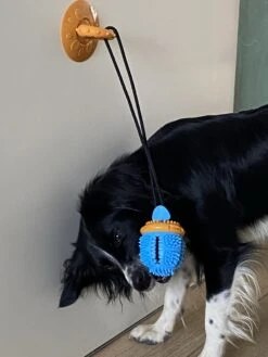 Merkloos Speelbal -Hondenspeelgoed Interactief - Hondenspeeltjes - Kauwspeelgoed Hond - 45 Cm -Huisdierbenodigdheden Korting 900x1200 42