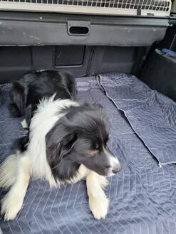 Luxe Hondendeken 200 X 150 Cm Auto Achterbank Kofferbak Vuilafstotend & Beschermend -Huisdierbenodigdheden Korting 900x1200 53