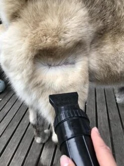 Waterblazer Hond - Hondendroger -Huisdierbenodigdheden Korting 900x1200 6