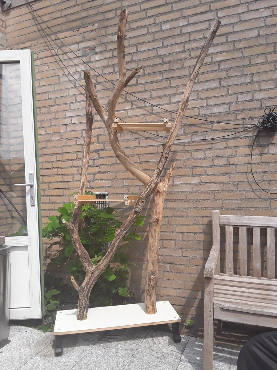 Natuurlijke Klimboom, Krabpaal 3 Natuurlijke Klimboom, Krabpaal