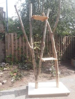 Natuurlijke Klimboom, Krabpaal 13 Natuurlijke Klimboom, Krabpaal -Huisdierbenodigdheden Korting 900x1200 66