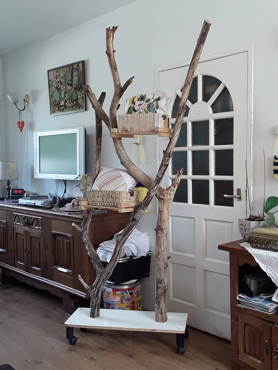 Natuurlijke Klimboom, Krabpaal 6 Natuurlijke Klimboom, Krabpaal - Afbeelding 4