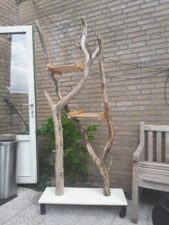 Natuurlijke Klimboom, Krabpaal 15 Natuurlijke Klimboom, Krabpaal -Huisdierbenodigdheden Korting 900x1200 68