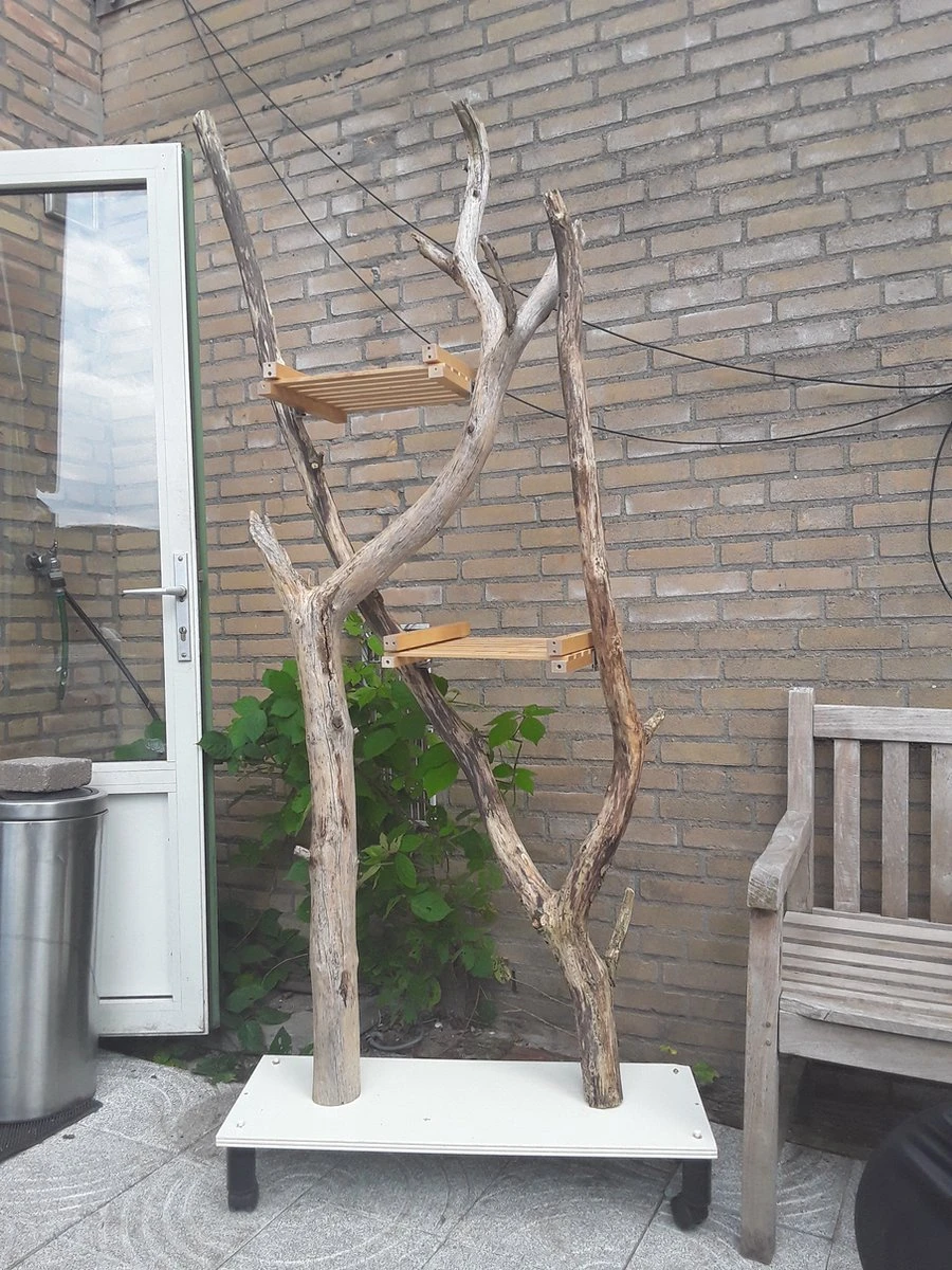 Natuurlijke Klimboom, Krabpaal 7 Natuurlijke Klimboom, Krabpaal - Afbeelding 5