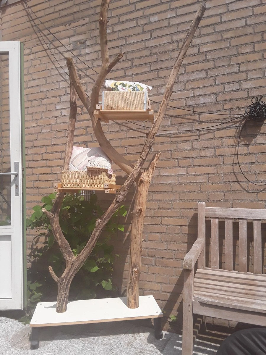 Natuurlijke Klimboom, Krabpaal 8 Natuurlijke Klimboom, Krabpaal - Afbeelding 6