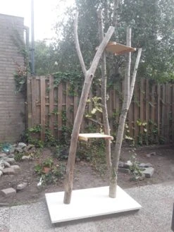 Natuurlijke Klimboom, Krabpaal 17 Natuurlijke Klimboom, Krabpaal -Huisdierbenodigdheden Korting 900x1200 70