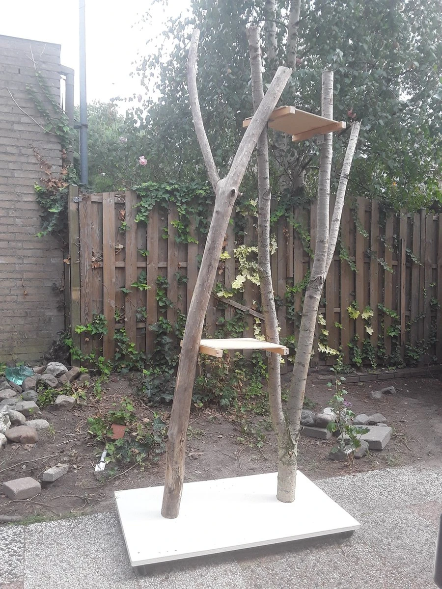 Natuurlijke Klimboom, Krabpaal 9 Natuurlijke Klimboom, Krabpaal - Afbeelding 7