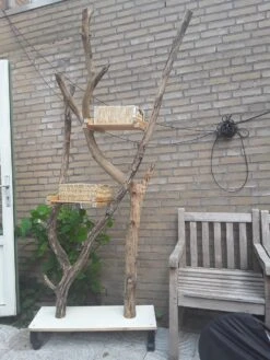 Natuurlijke Klimboom, Krabpaal 18 Natuurlijke Klimboom, Krabpaal -Huisdierbenodigdheden Korting 900x1200 71