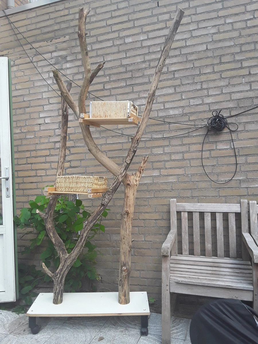 Natuurlijke Klimboom, Krabpaal 10 Natuurlijke Klimboom, Krabpaal - Afbeelding 8